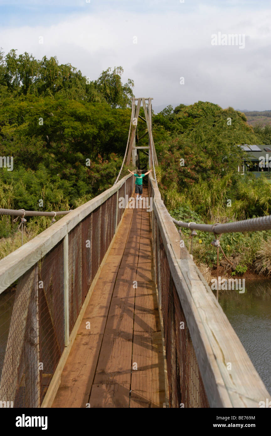 Fußgängerbrücke über den Fluss in Hanapepe Kauai Stockfoto
