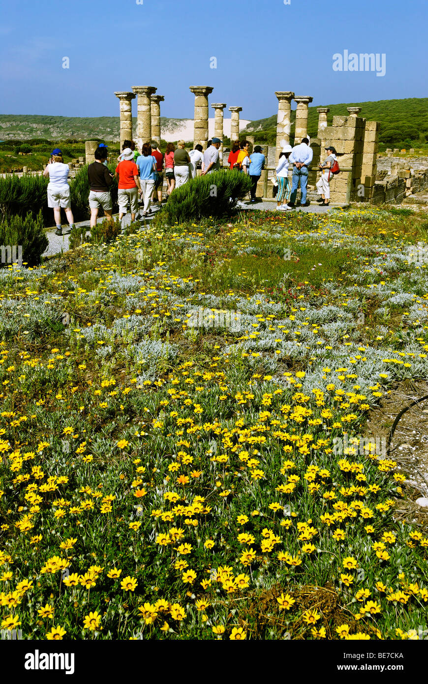 Forum, archäologische Park Baelo Claudia in der Nähe von Tarifa, Andalusien, Spanien, Europa Stockfoto