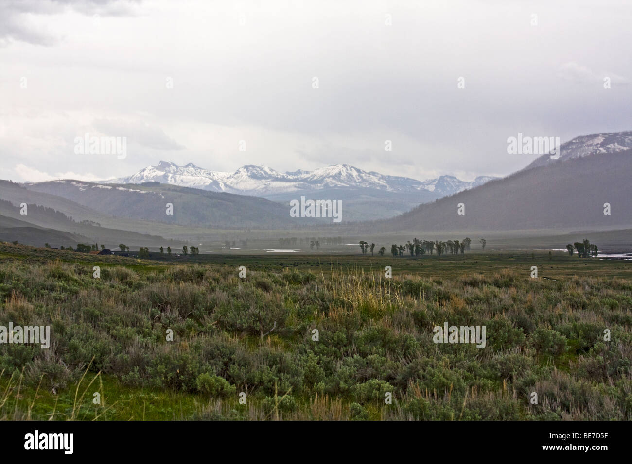 Lamar Valley, Yellowstone-Nationalpark, Wyoming, USA Stockfoto