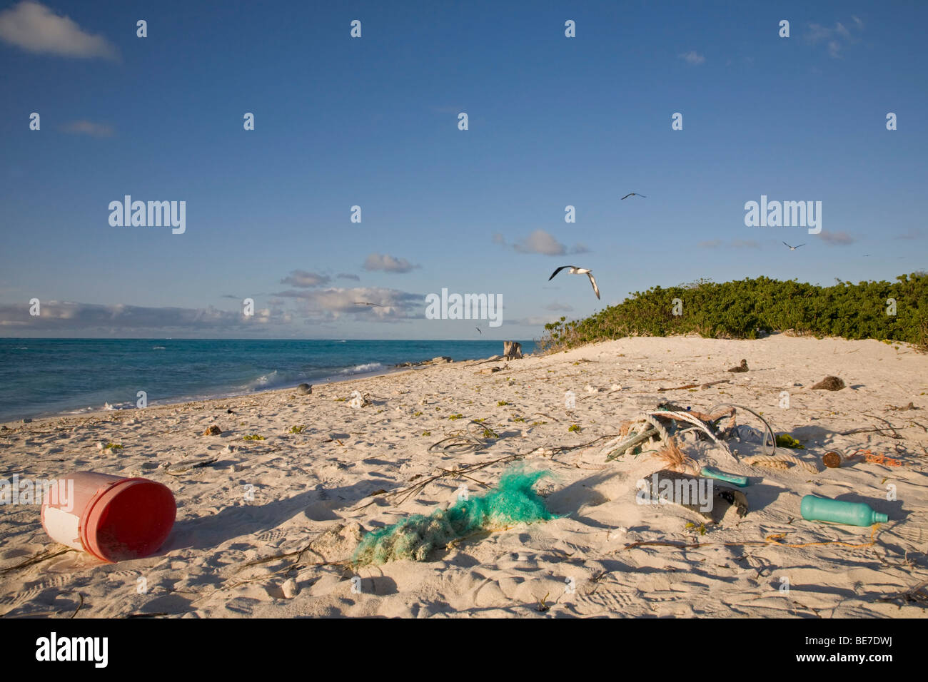 Marine Ablagerungen gewaschen an Land am Strand von North Pacific Island Stockfoto