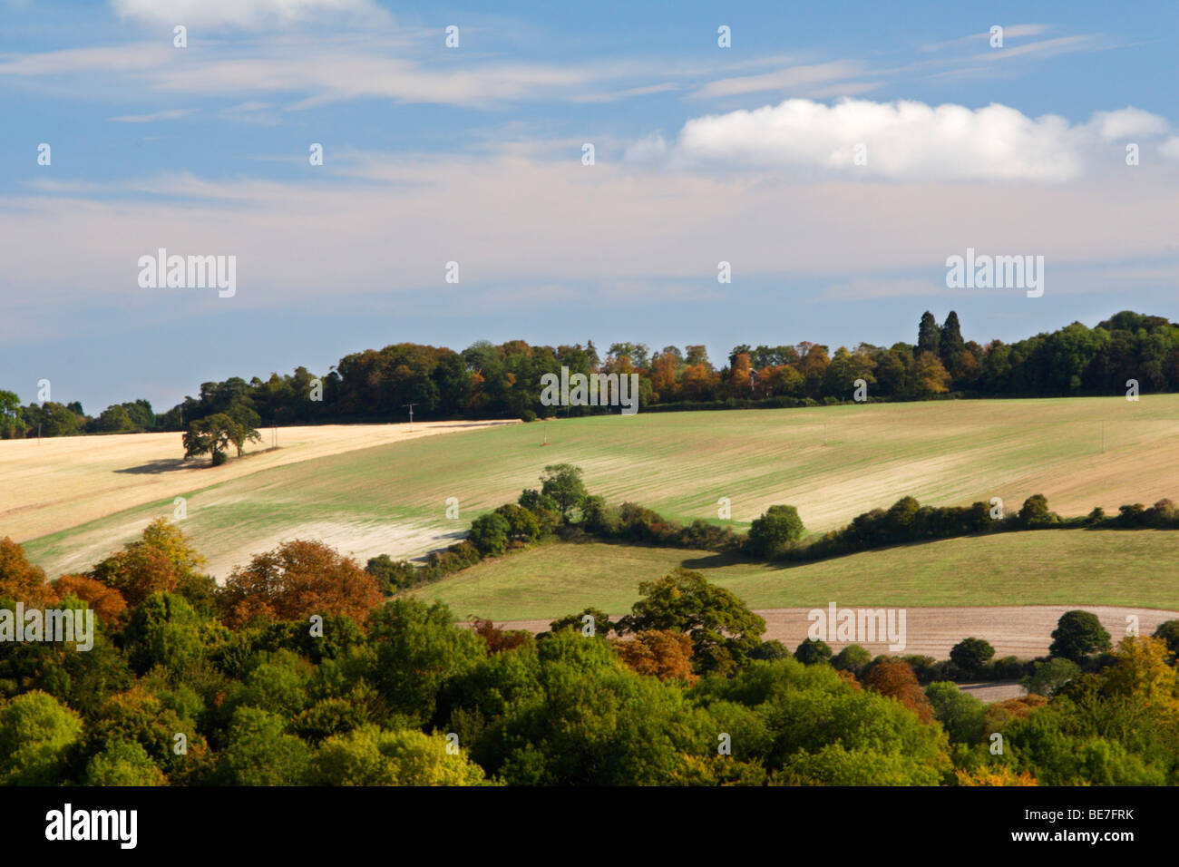 Blick vom Kesselflicker Holz, High Wycombe über das Hughenden Tal. Buckinghamshire, Großbritannien Stockfoto