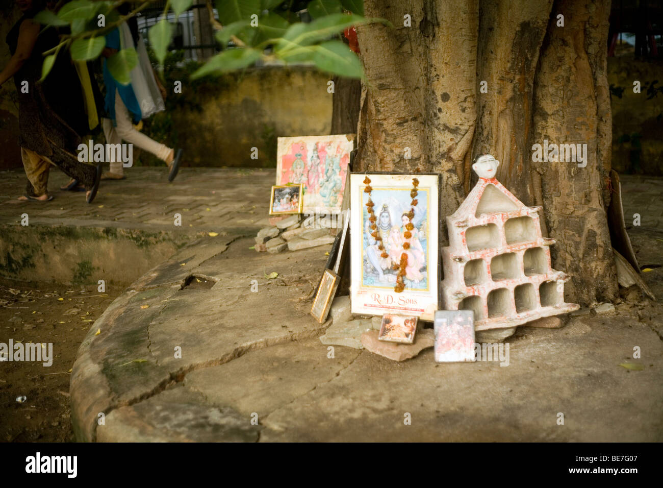 Die Menschen auf ihre Übung am frühen Morgen um einen kleinen Park, gehen vorbei an einem Baum, der in einem Schrein, New Delhi, Indien gemacht wurde Stockfoto