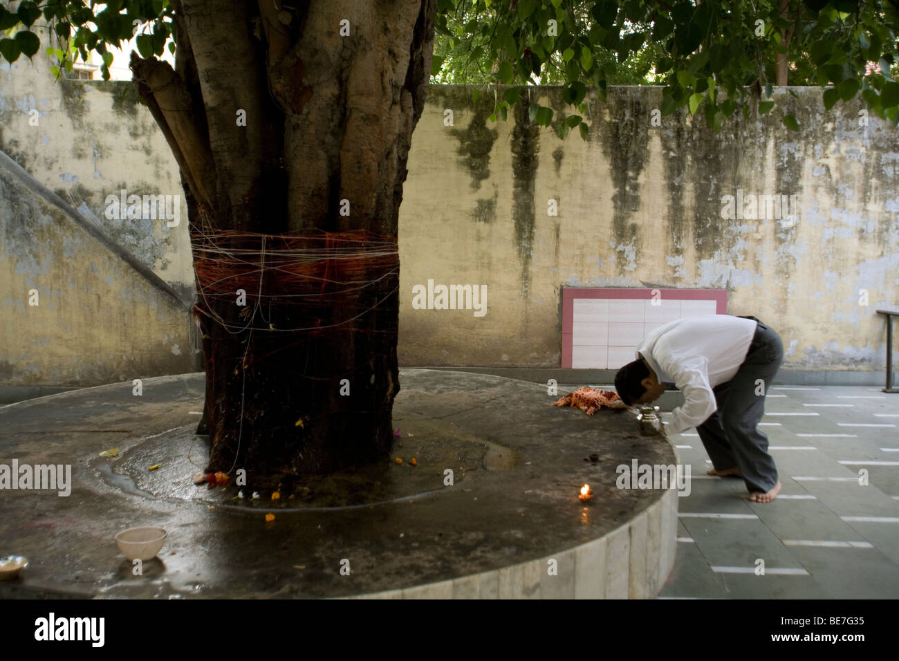 Ein Mann macht eine Opfergabe an die Götter auf einem Baum-Schrein in einem hinduistischen Tempel Janakpuri, New Delhi, Indien Stockfoto