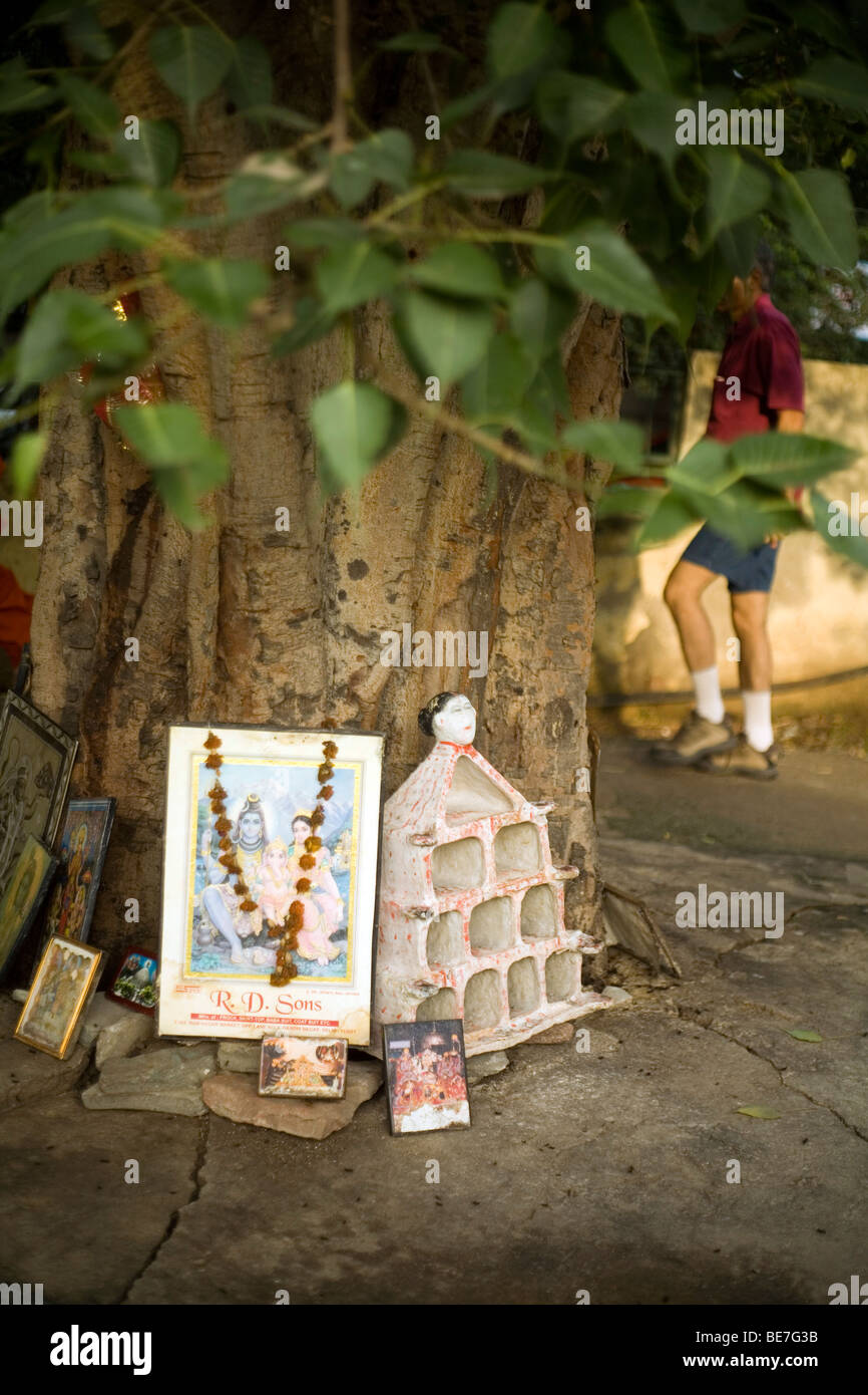 People on their early morning exercise around a small park, walk past a tree that has been made into a shrine, New Delhi, India Stockfoto