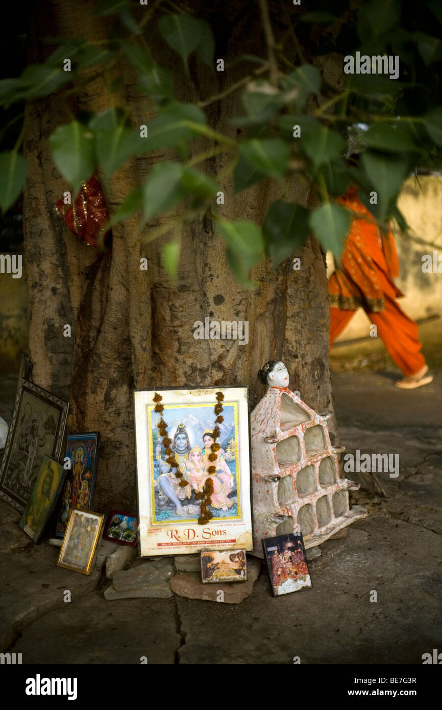 Die Menschen auf ihre Übung am frühen Morgen um einen kleinen Park, gehen vorbei an einem Baum, der in einem Schrein, New Delhi, Indien gemacht wurde Stockfoto