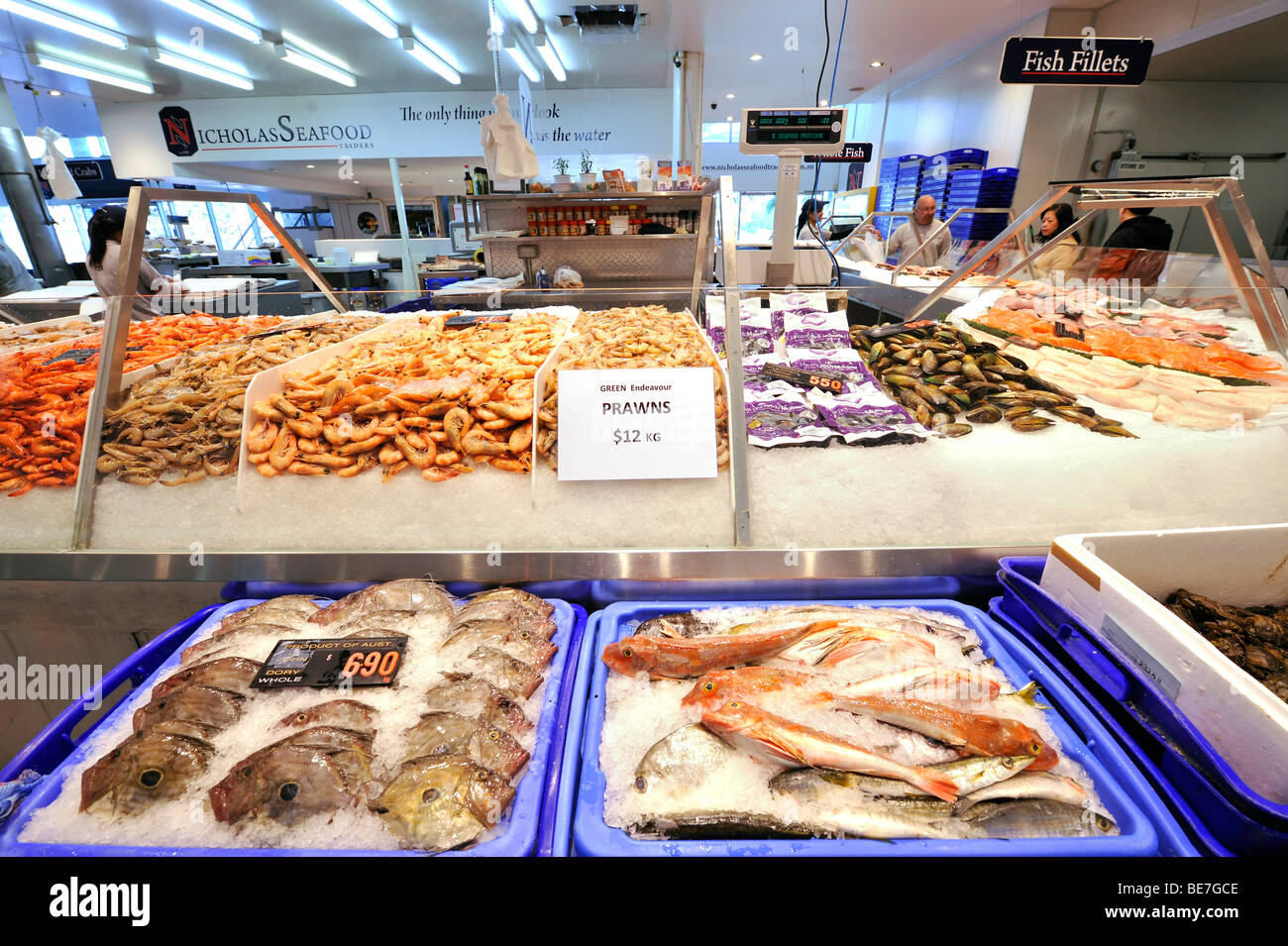 Frischem und gekochtem australische Scampi, Sydney Fish Market, Sydney, New South Wales, Australien Stockfoto