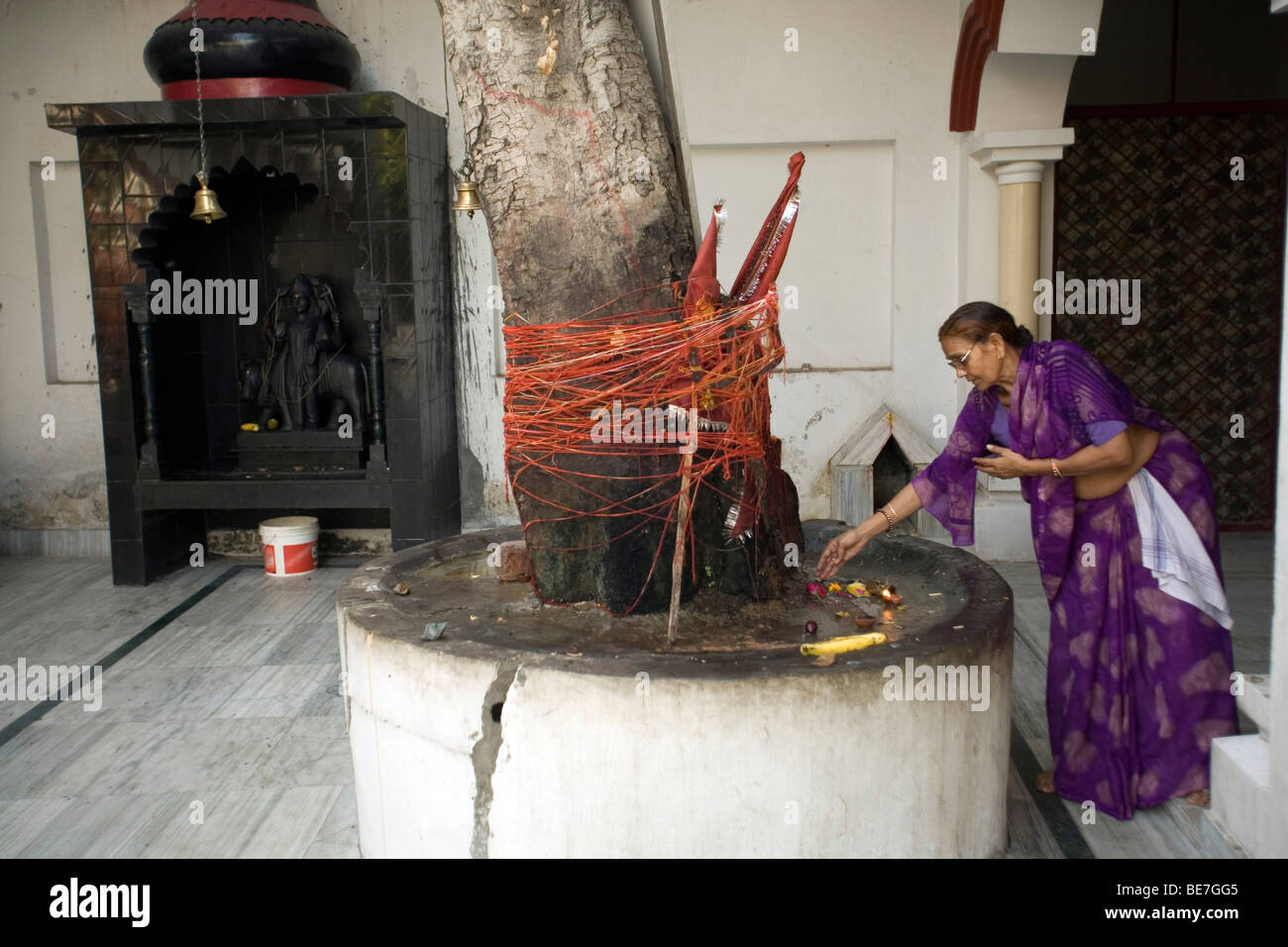 Eine Frau macht eine Opfergabe an die Götter auf einem Baum-Schrein in einem hinduistischen Tempel Janakpuri, New Delhi, Indien Stockfoto