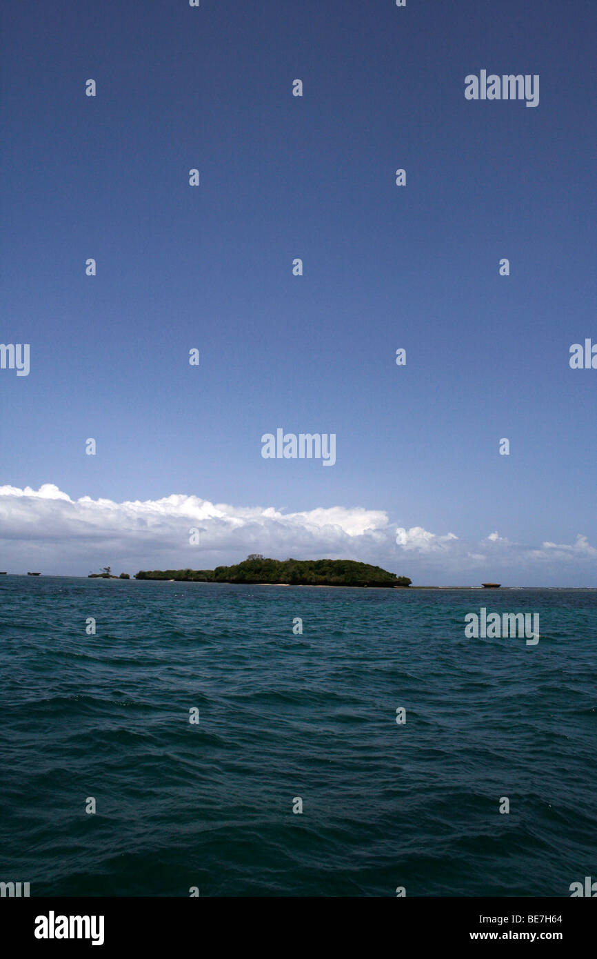 Kisite Marine Nationalpark Kenia Afrika Stockfoto