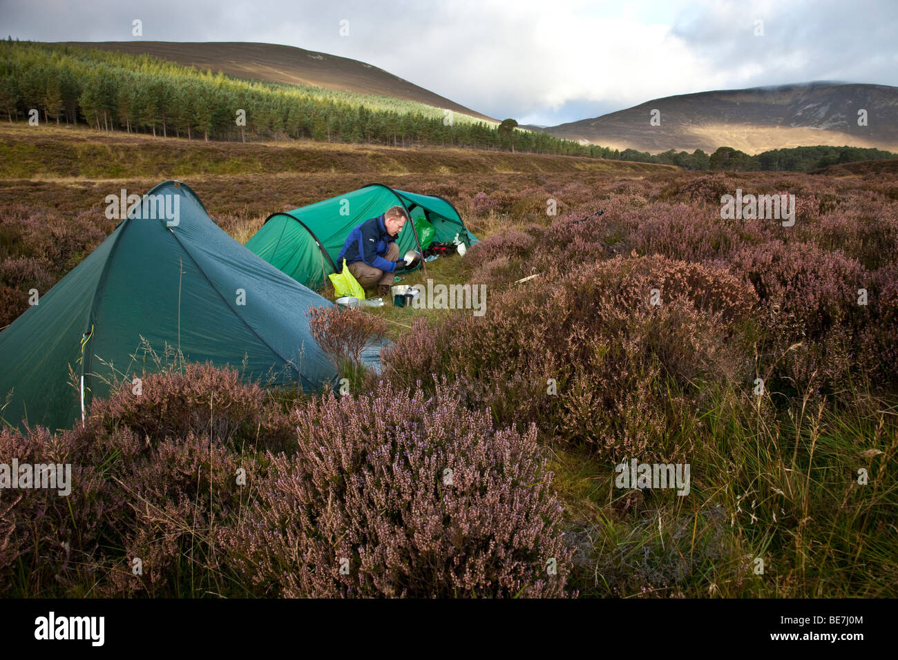 Ein Mann bereitet sich vor seinem Zelt unter die Heide in den Cairngorm Mountains, Schottland zu kochen Stockfoto