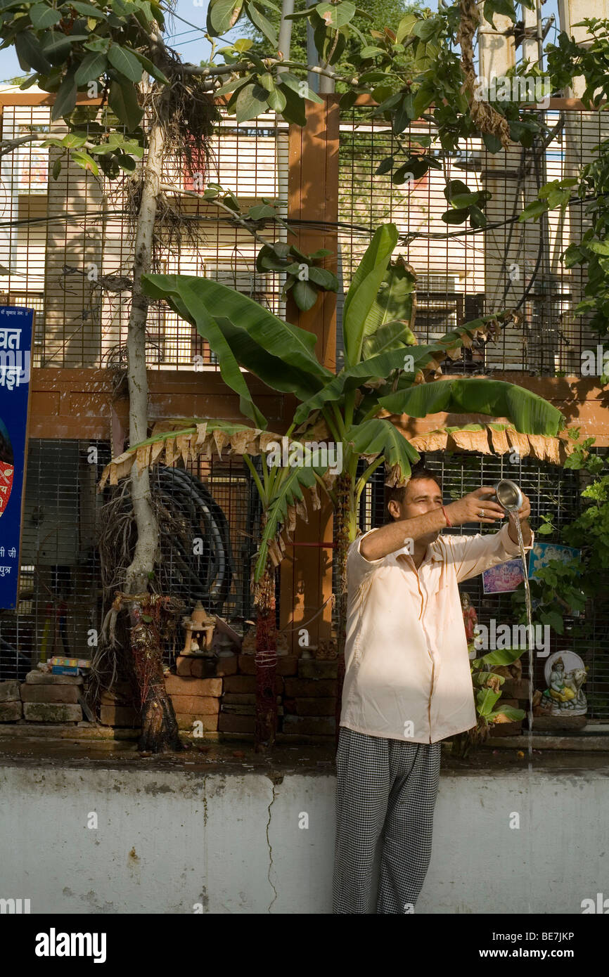 Ein Mann macht eine Opfergabe an die Götter auf einem Baum-Schrein in einem hinduistischen Tempel Janakpuri, New Delhi, Indien Stockfoto