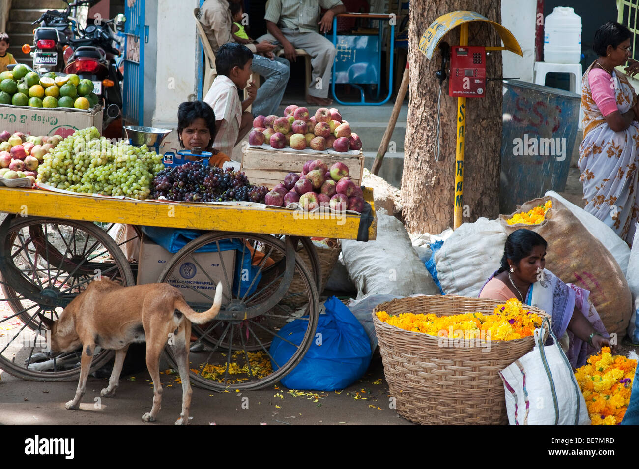 In Indien Gibts Kein Frisches Obst www.alamy.de