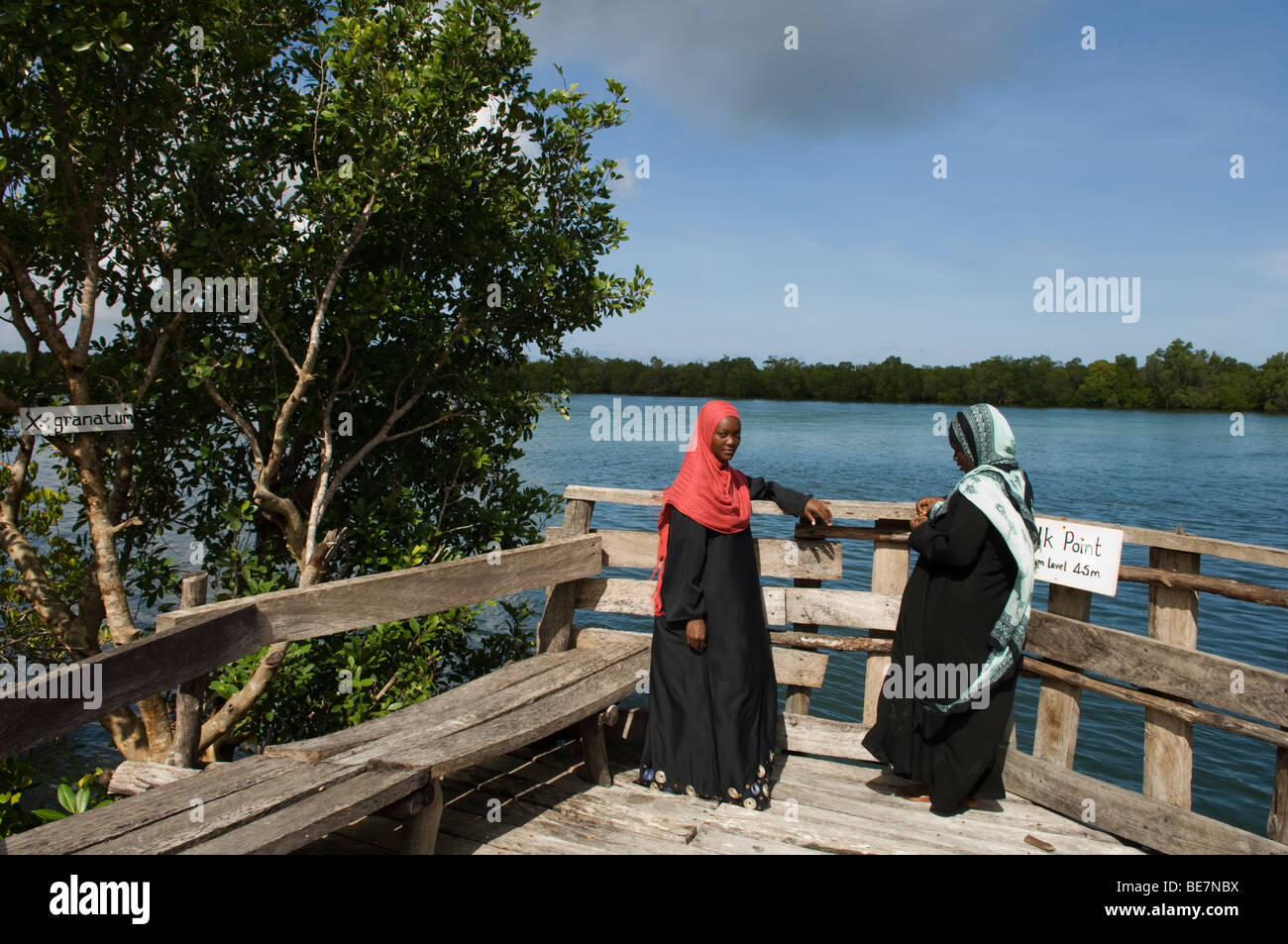 Gazi Frauen Mangroven Boardwalk, Gazi, Kenia Stockfoto