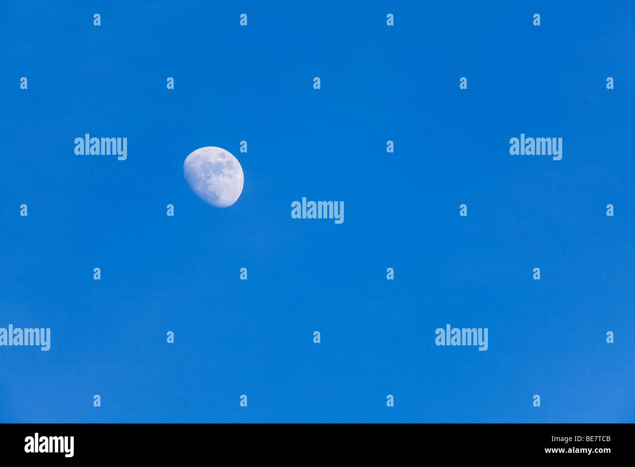 Mond in einem Tageslicht-Himmel. Stockfoto
