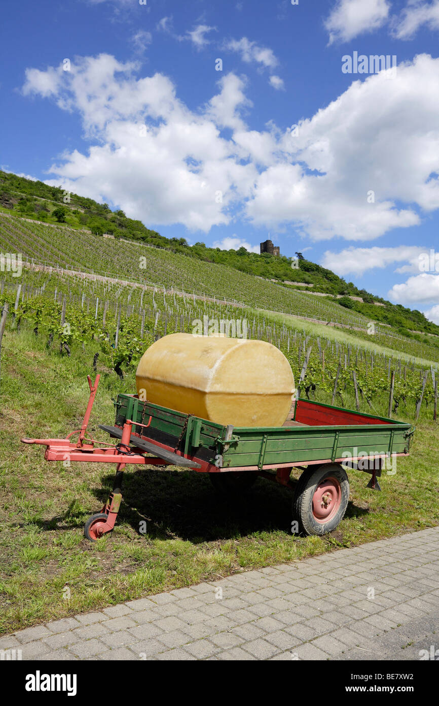 Weinanbau in der Nähe von Lorch, Hessen, Deutschland, Europa Stockfoto