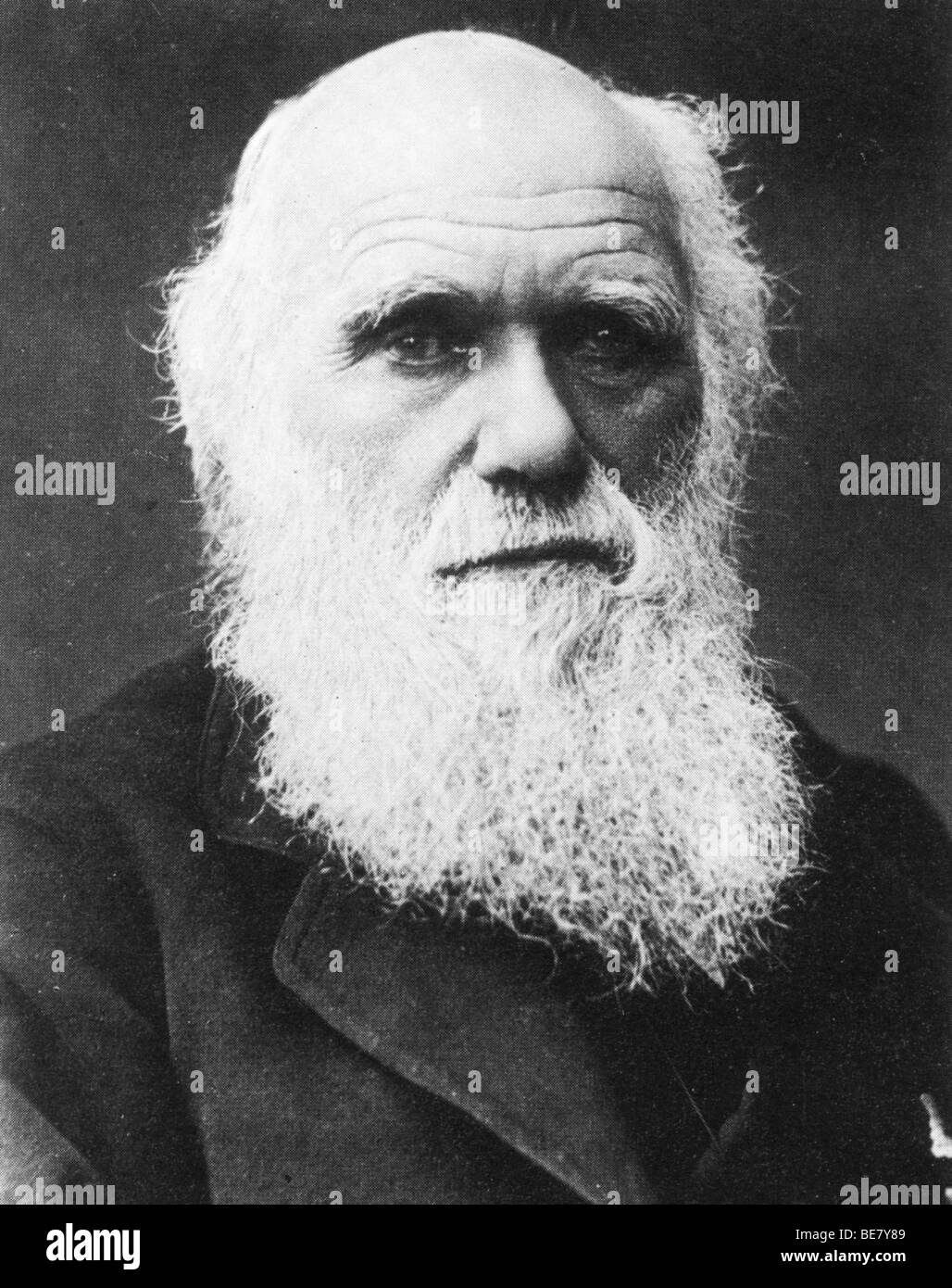 Charles darwin evolution theory -Fotos und -Bildmaterial in hoher