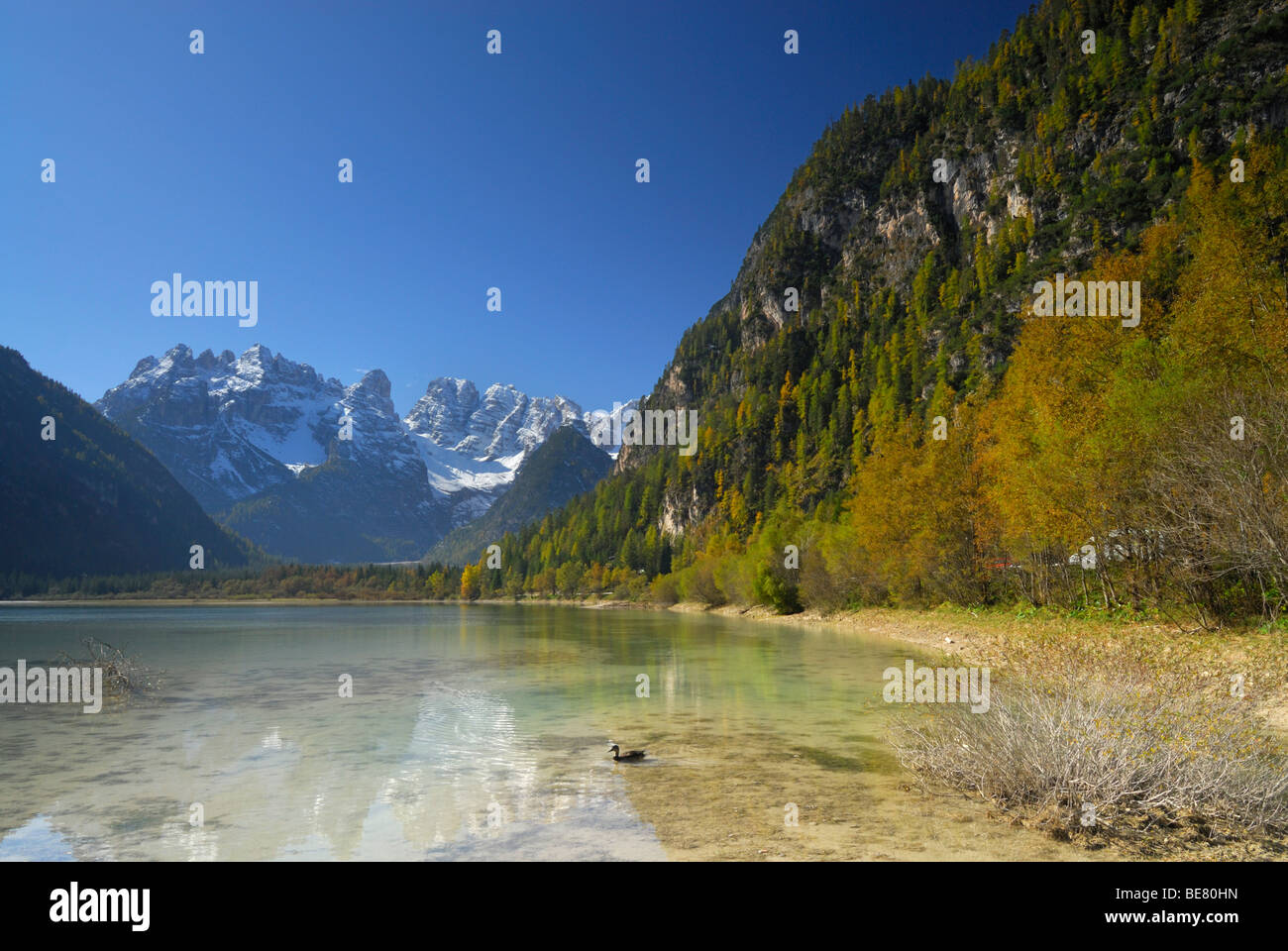 Monte Cristallo über dem See Duerrensee, Dolomiten, Südtirol, Italien Stockfoto