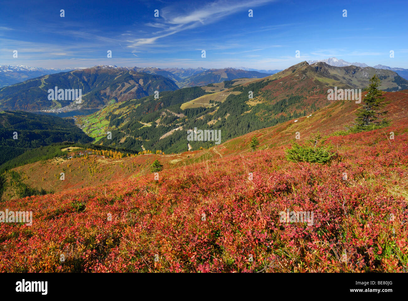 Hundstein in Richtung Dorf Zell-Ansicht, Schmittenhöhe und Schwalbenwand mit herbstlichen Farben von Huckleberry und Lärchen Stockfoto