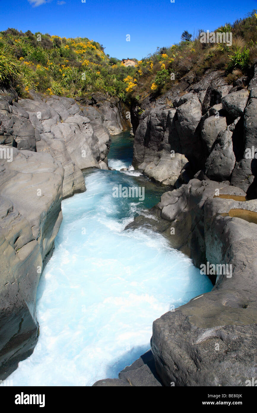 Whakapapa Fluss Tongariro National Park, North Island, Neuseeland Stockfoto