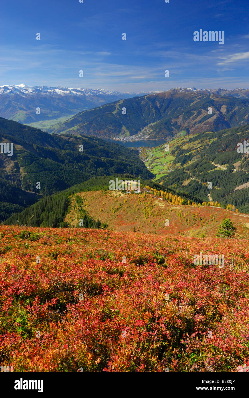 Blick vom Hundstein zu hohen Tauern, Dorf Zell am See und der Schmittenhöhe mit herbstlichen Farben von Huckleberry und Lärchen, Stockfoto