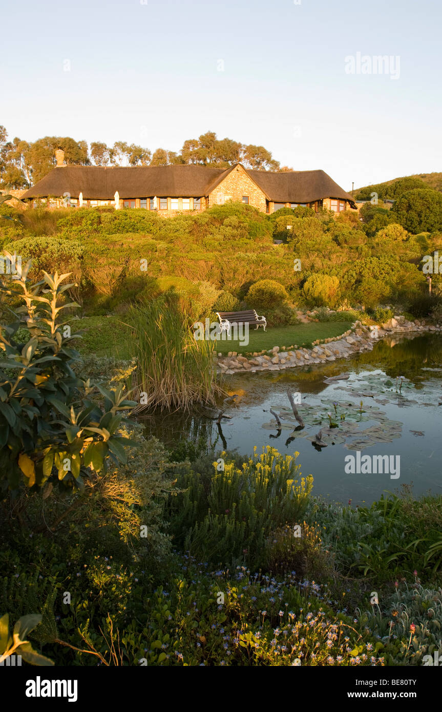 Blick auf einen Garten mit Teich und ein Haus in der Sonne, Garden Lodge, Gansbaai, Grootbos Private Nature Reserve, Südafrika, A Stockfoto