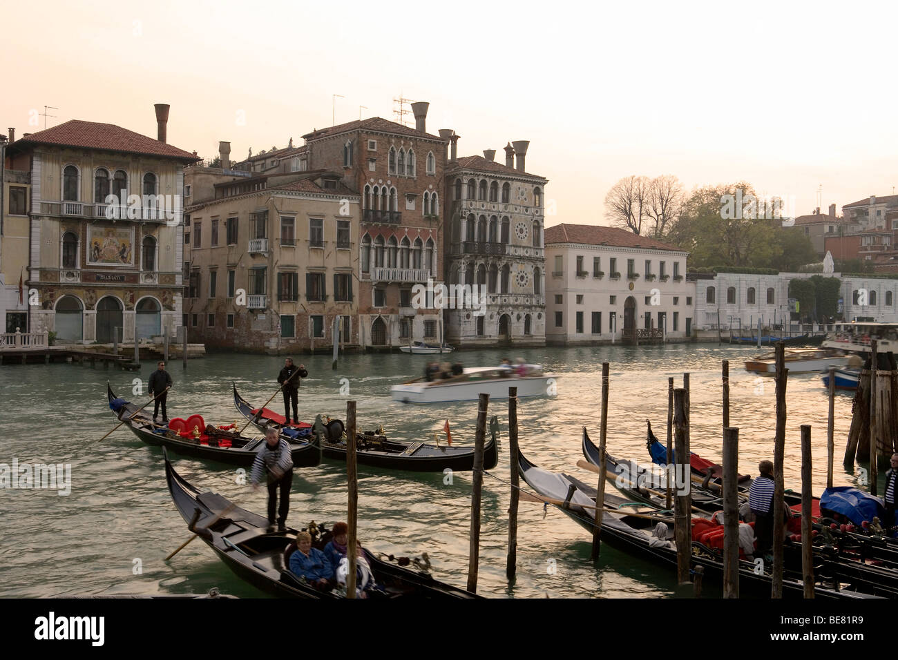 Canal Grande bei Sonnenuntergang, Venedig, Italien, Europa Stockfoto