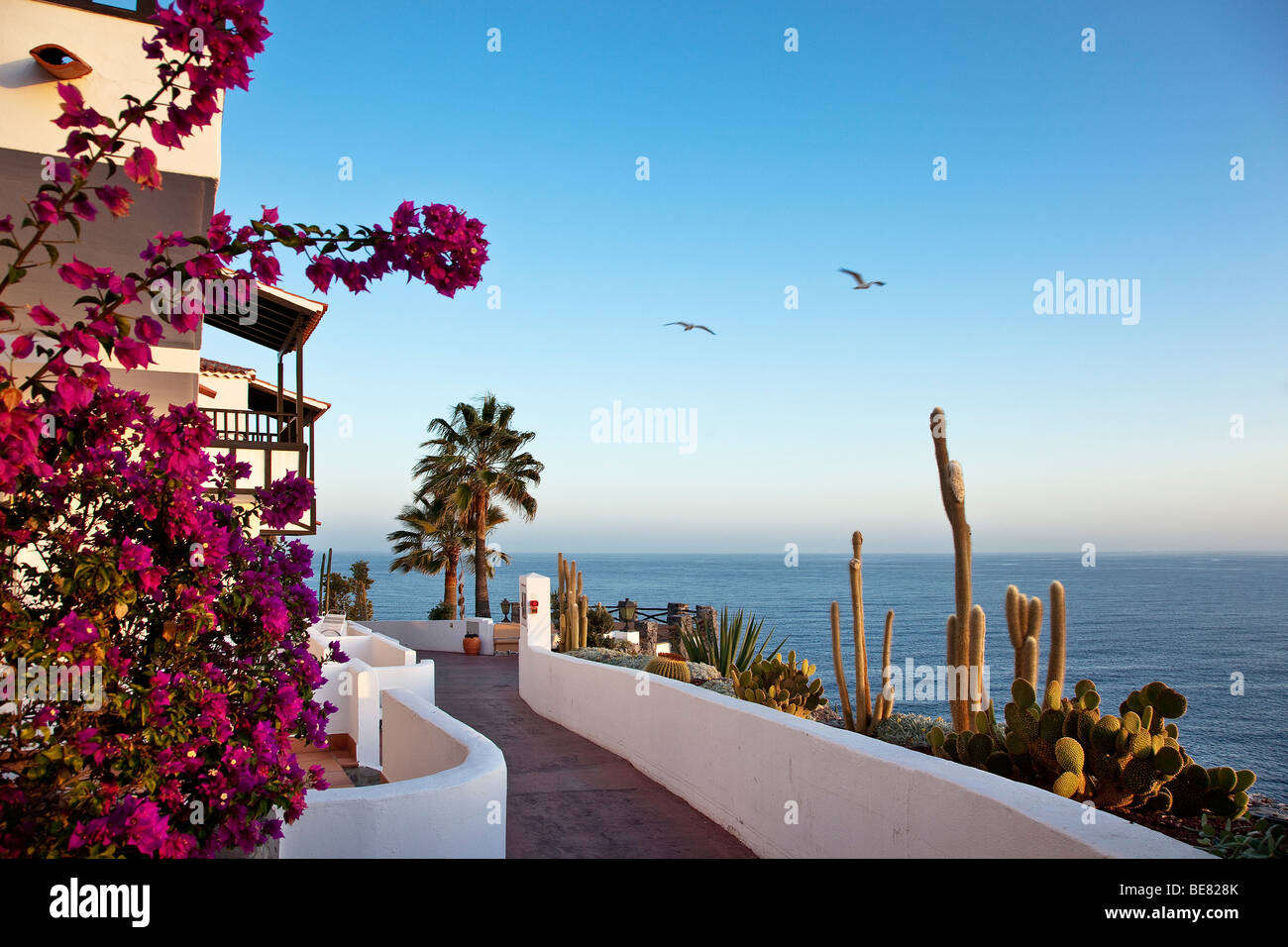 Blick über die Terrasse des Jardin Tecina Hotel am Meer, Playa de Santiago, La Gomera, Kanarische Inseln, Spanien, Europa Stockfoto