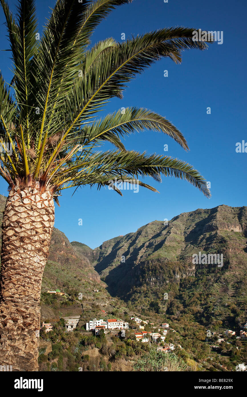 Palme und Valle Gran Rey unter blauem Himmel, La Gomera, Kanarische Inseln, Spanien, Europa Stockfoto