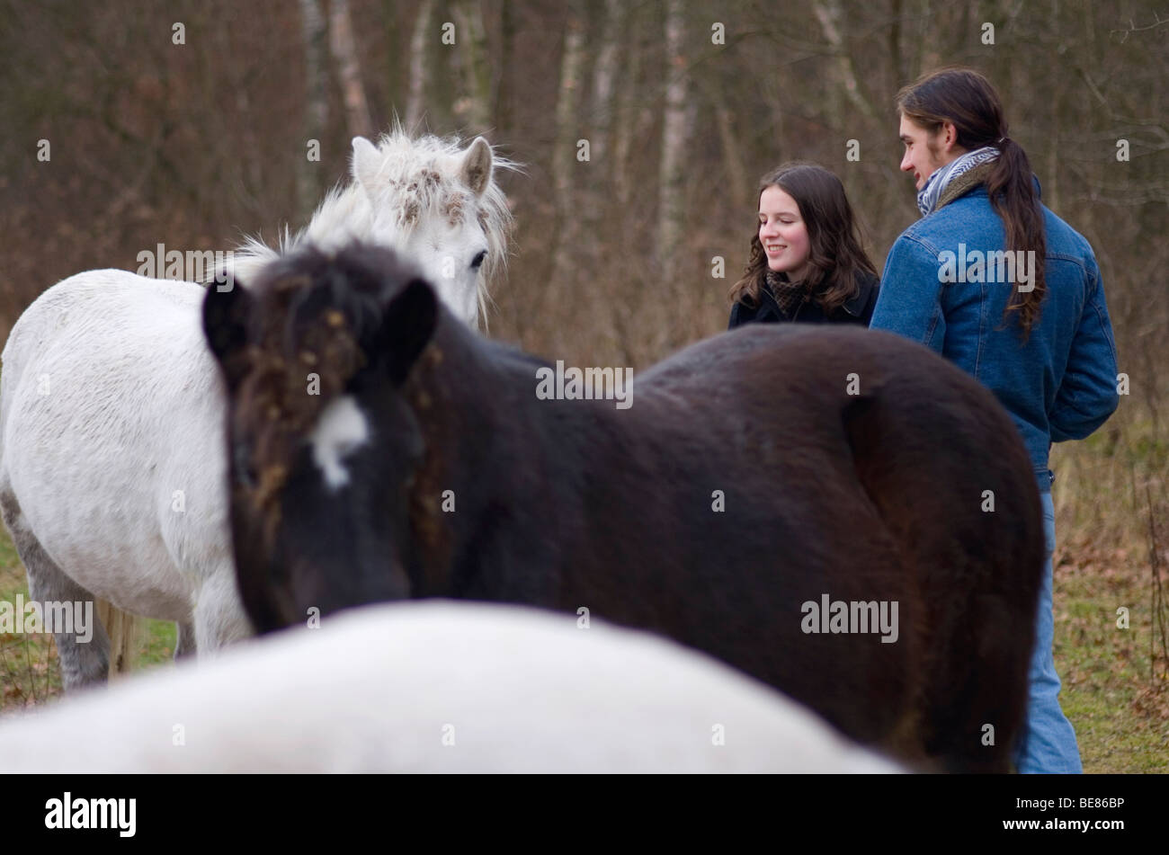 Twee Mensen En Paarden; zwei Menschen und Pferde Stockfoto
