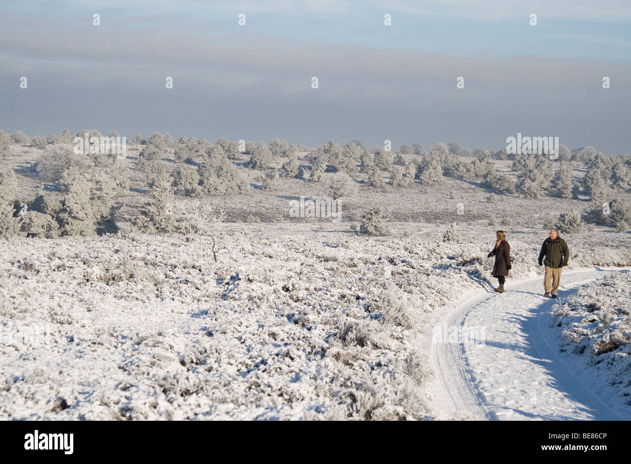 Wandelende Mensen Genieten van Het Berijpte Landschap. Stockfoto