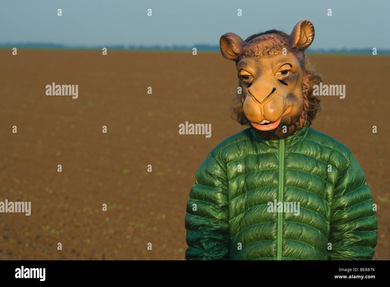 Person im Feld stehen, Kamel Maske trägt Stockfotografie - Alamy