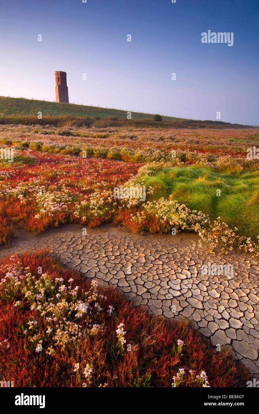 Koudekerkse Inlaag in Najaar; Koudekerkse Inlaag im september Stockfoto