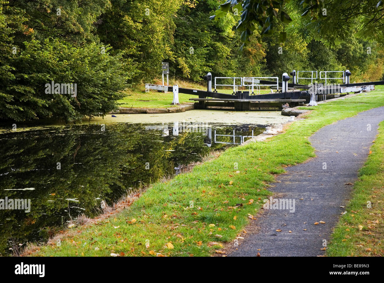 Huddersfield breiter Kanal und Leinpfad im Herbst bei Bradley, Huddersfield, West Yorkshire, Großbritannien Stockfoto