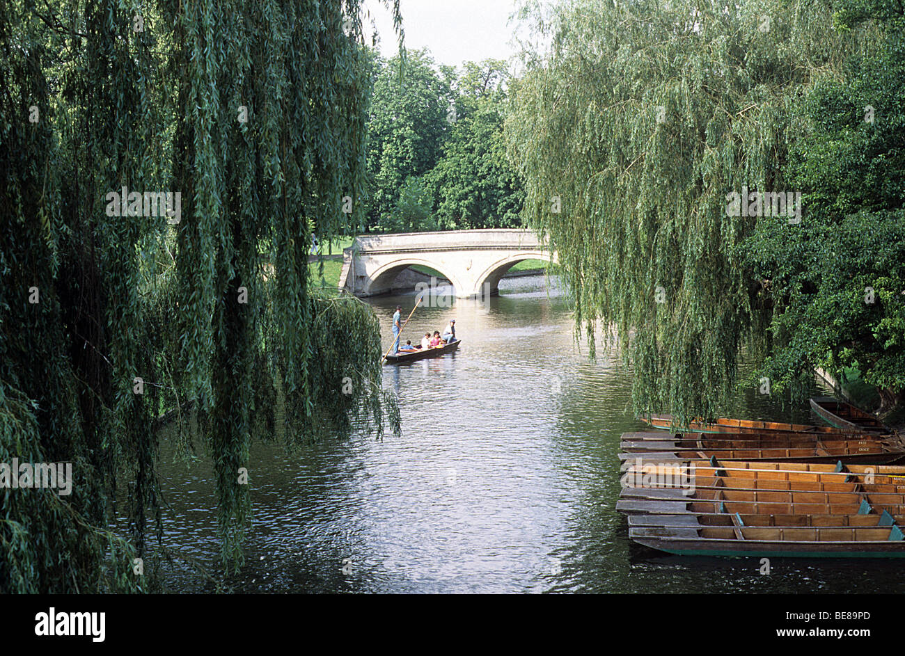 Cambridge, Fluss Cam, Kähne, Weide Bäume Stockfoto