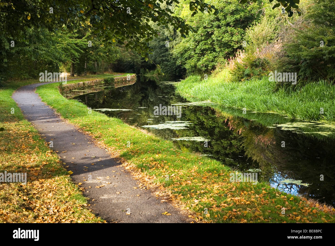 Huddersfield breiter Kanal und Leinpfad im Herbst bei Bradley, Huddersfield, West Yorkshire, Großbritannien Stockfoto