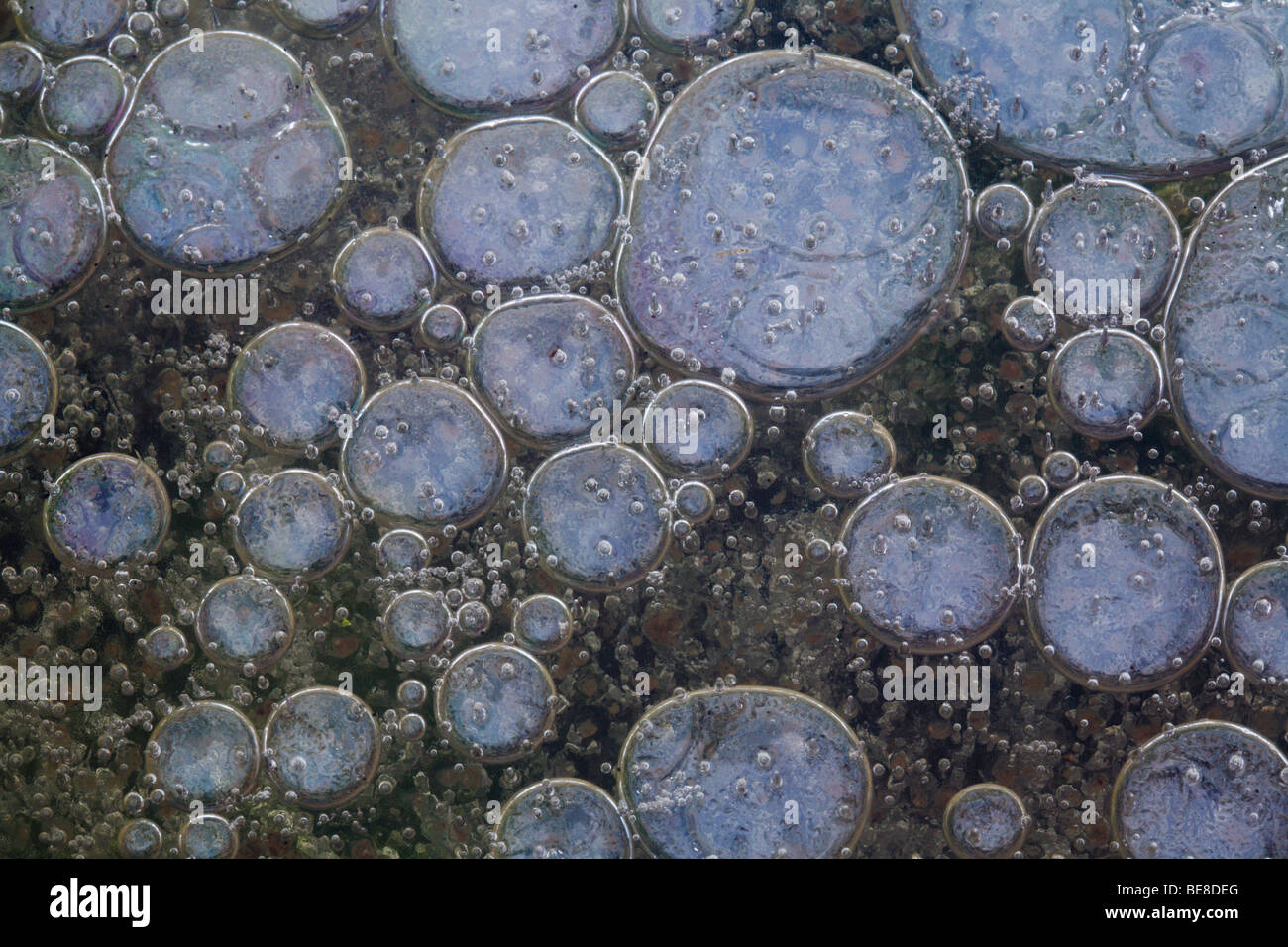 Nahaufnahme Opname van Luchtbellen in Het Ijs; Nahaufnahme von Luftblasen unter dem Eis Stockfoto