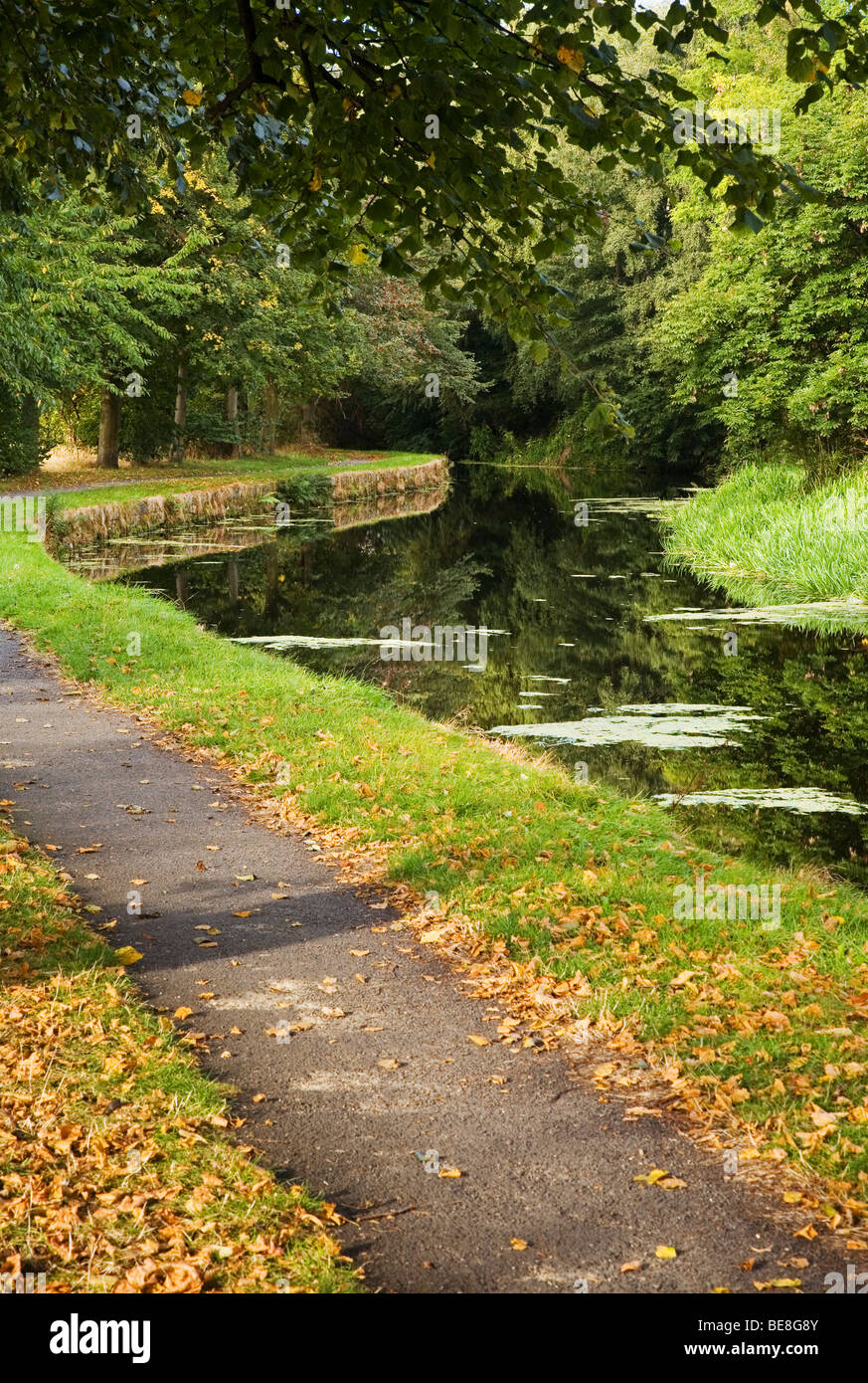 Huddersfield breiter Kanal und Leinpfad im Herbst bei Bradley, Huddersfield, West Yorkshire, Großbritannien Stockfoto