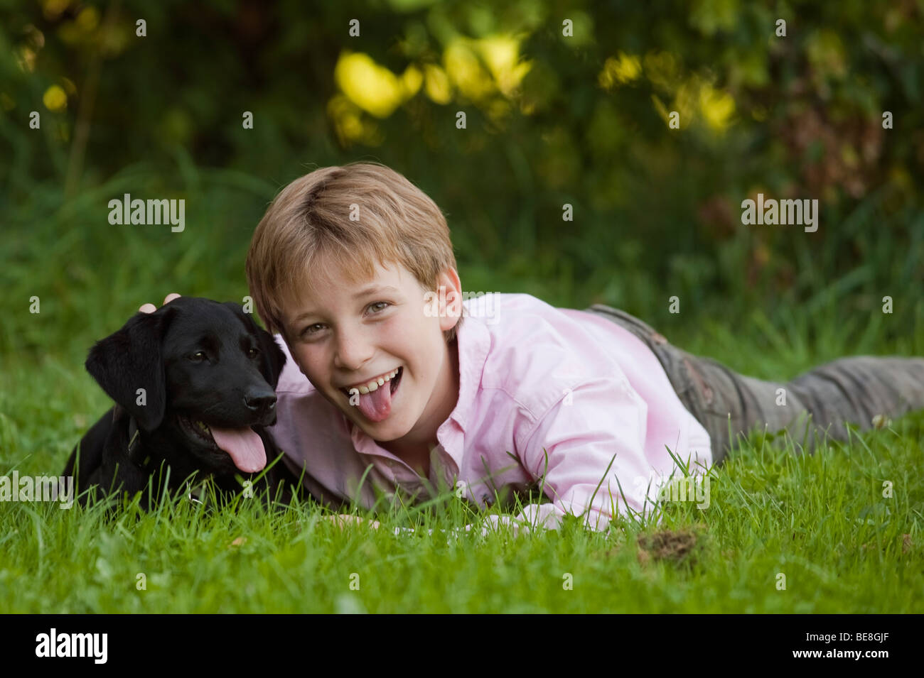 Junge, 10 mit einem Labrador-Welpe Stockfoto