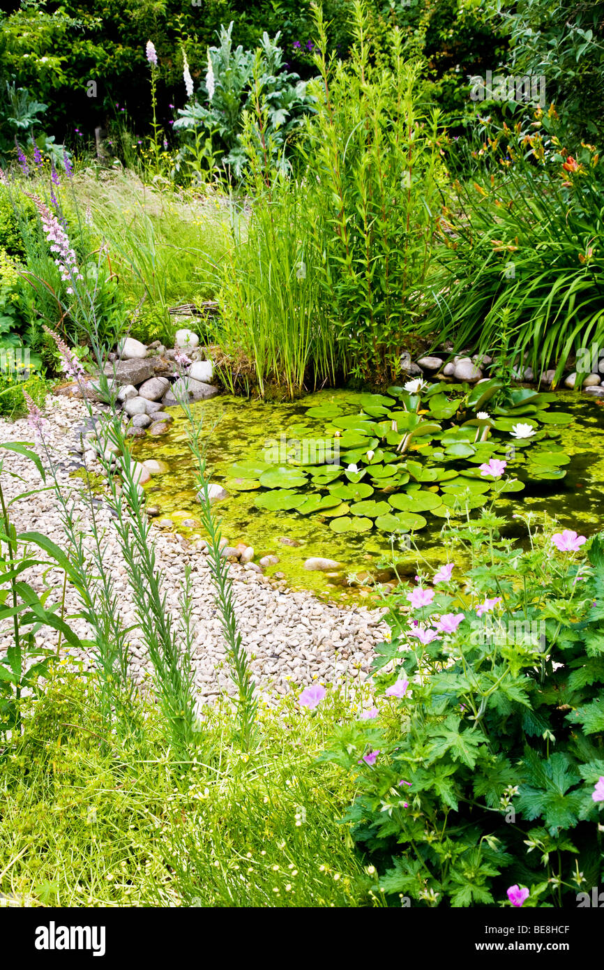 Eine Ecke des Gartens Wildlife freundlich in den Zweigen Gärten in Swindon, Wiltshire, England, UK Stockfoto