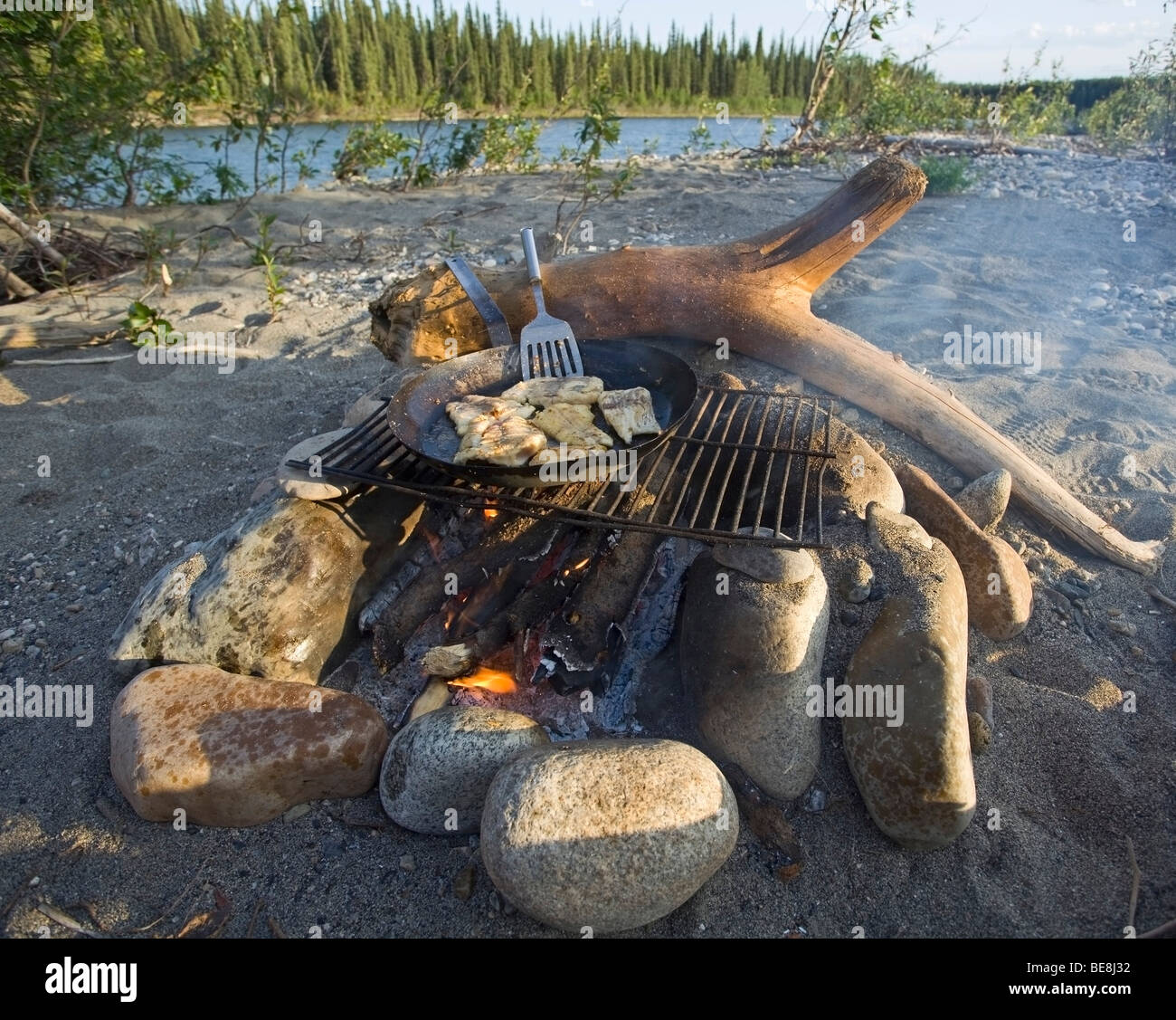 Kochen, braten Filets in einer Pfanne auf einem Lagerfeuer, oben Liard River, Yukon Territorium, Kanada Stockfoto