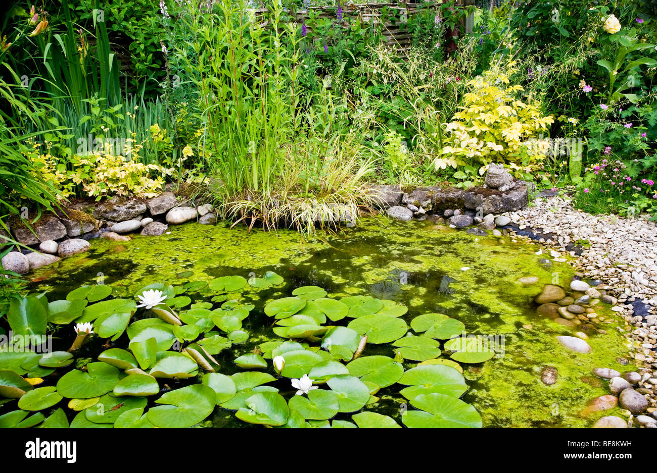 Eine Ecke des Gartens Wildlife freundlich in den Zweigen Gärten in Swindon, Wiltshire, England, UK Stockfoto