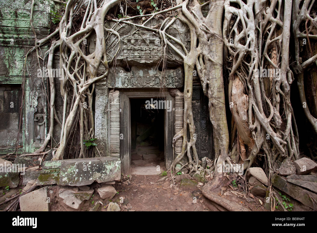 Kultige Blick auf Ta Prohm in Angkor Wat Komplex, Kambodscha Stockfoto