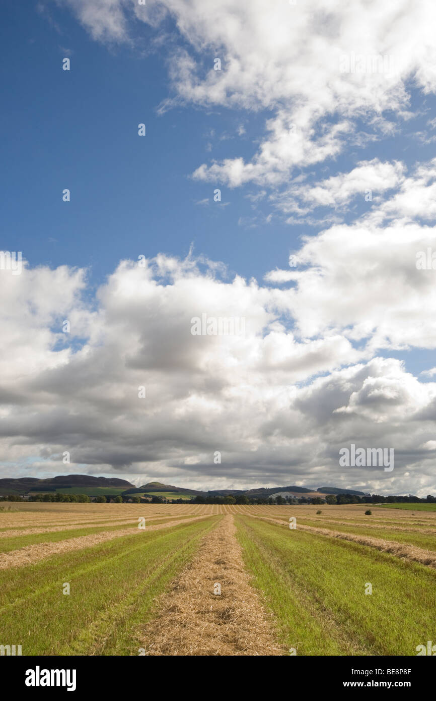 Ein Wolkengebilde über ein Gerstenfeld in Perthshire. Stockfoto Ein Wolkengebilde über ein Gerstenfeld in Perthshire. Stockfoto