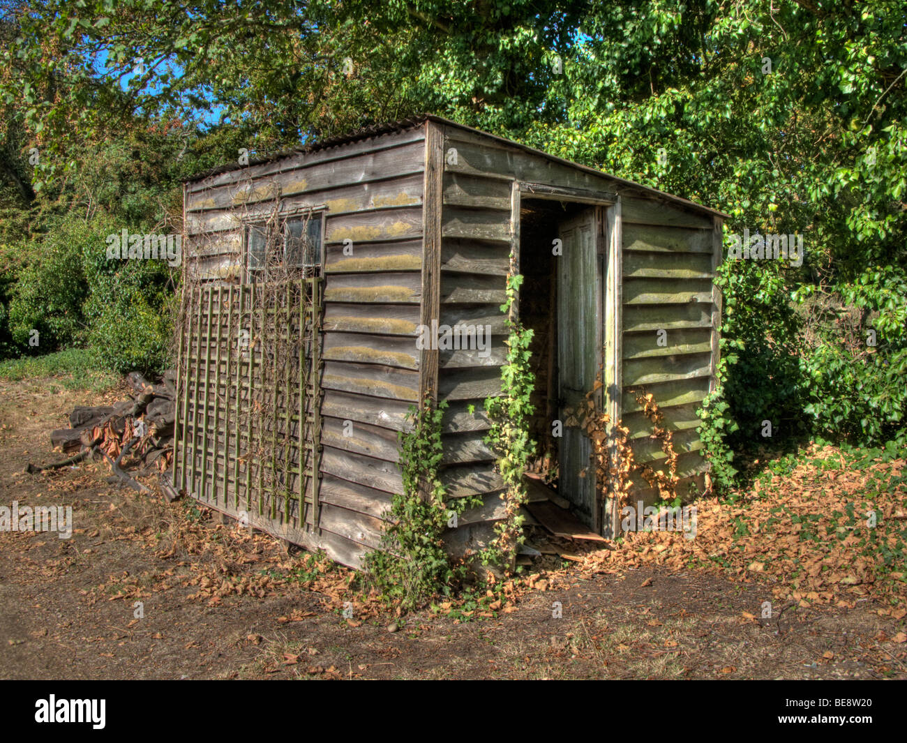 alte baufällige Schuppen Stockfoto