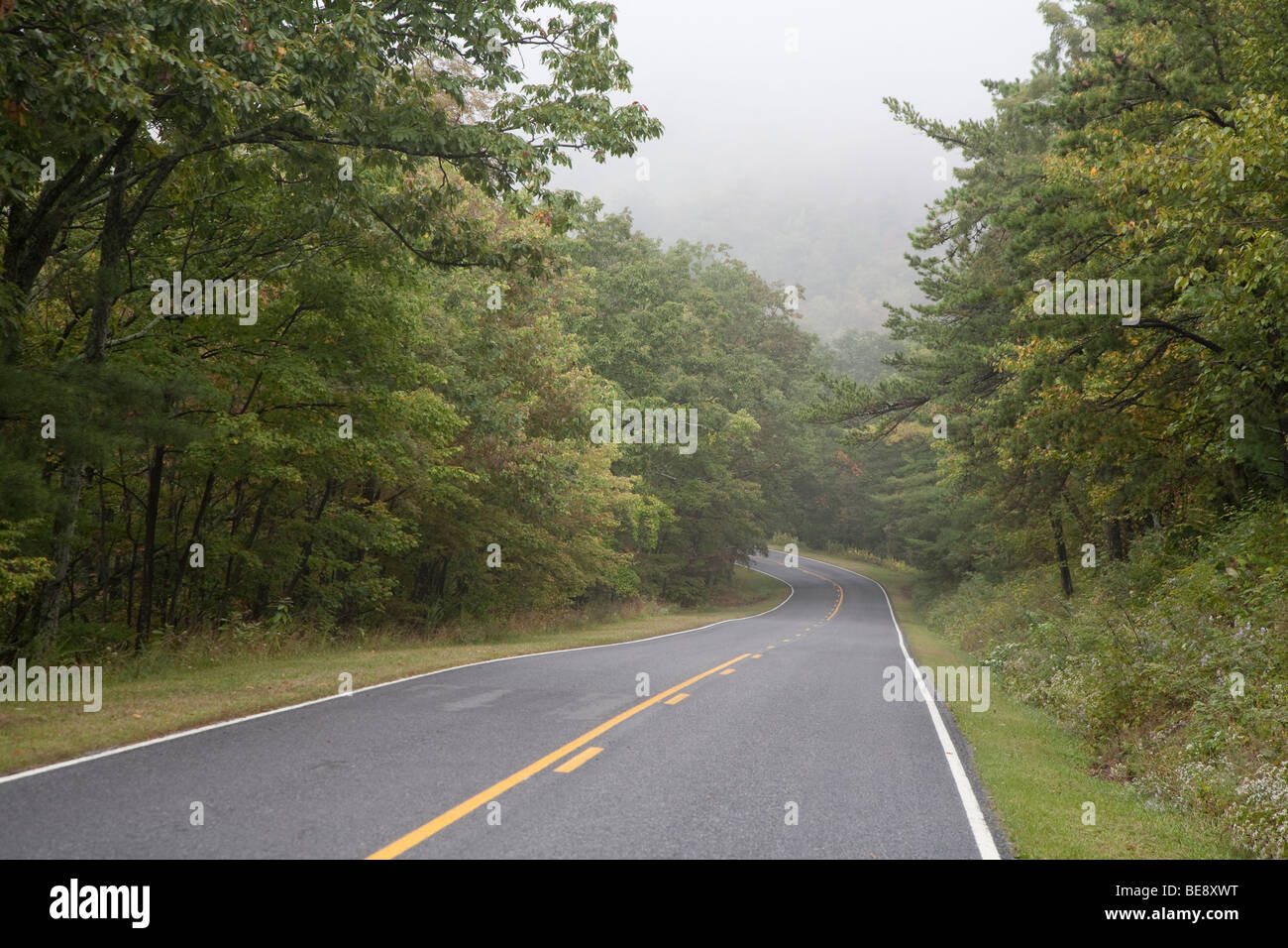 Shenandoah-Nationalpark, Virginia - The Skyline Drive im nebligen Wetter. Stockfoto