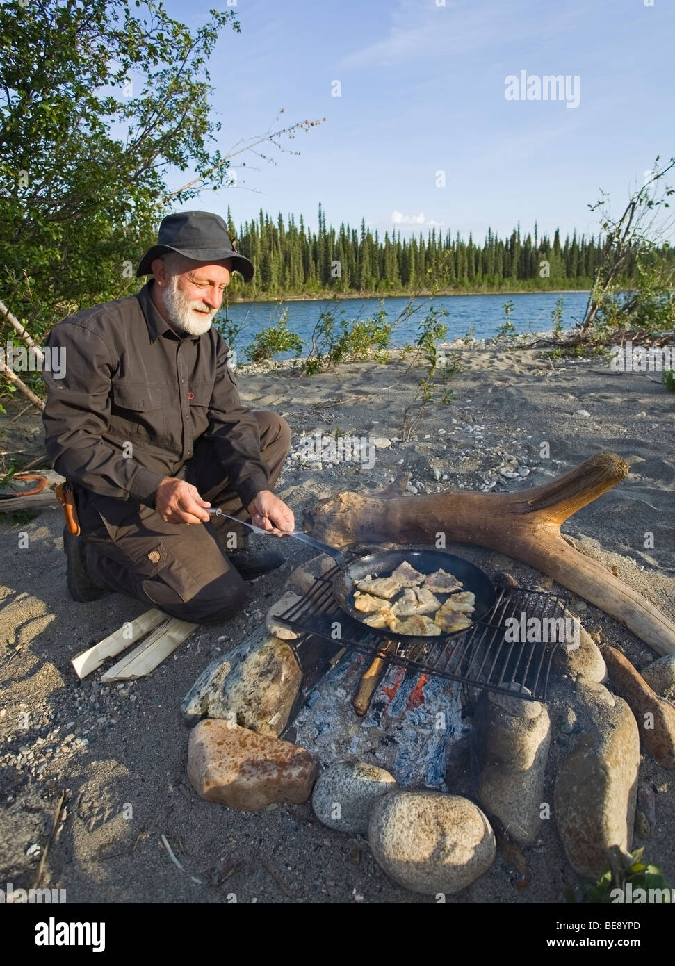 Mann, Kochen, braten Filets in einer Pfanne auf einem Lagerfeuer, oben Liard River, Yukon Territorium, Kanada Stockfoto
