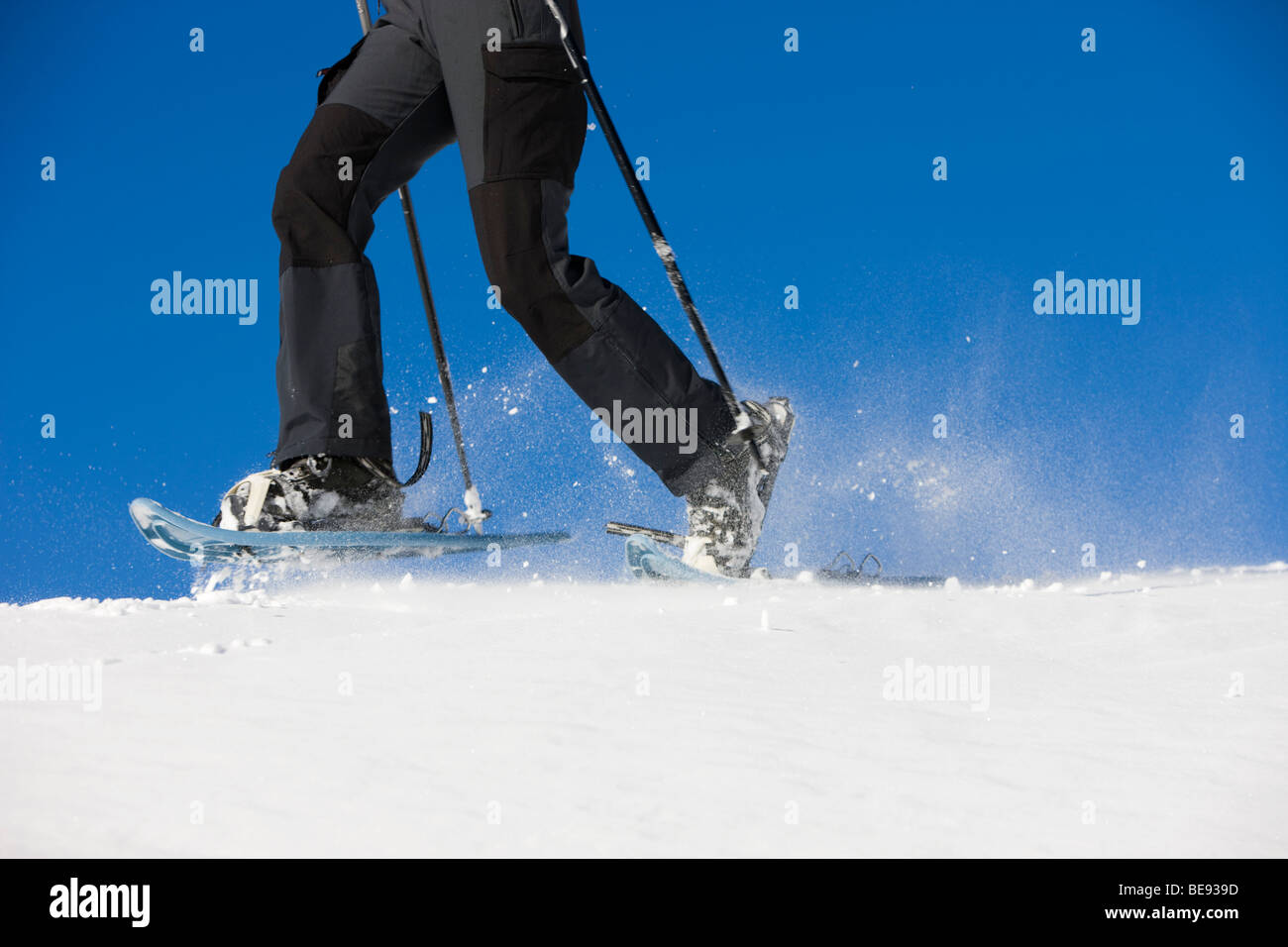 Frau, Schneeschuhwandern, Zwischensprint Hochplateau, Dolomiten, Südtirol, Italien, Europa Stockfoto