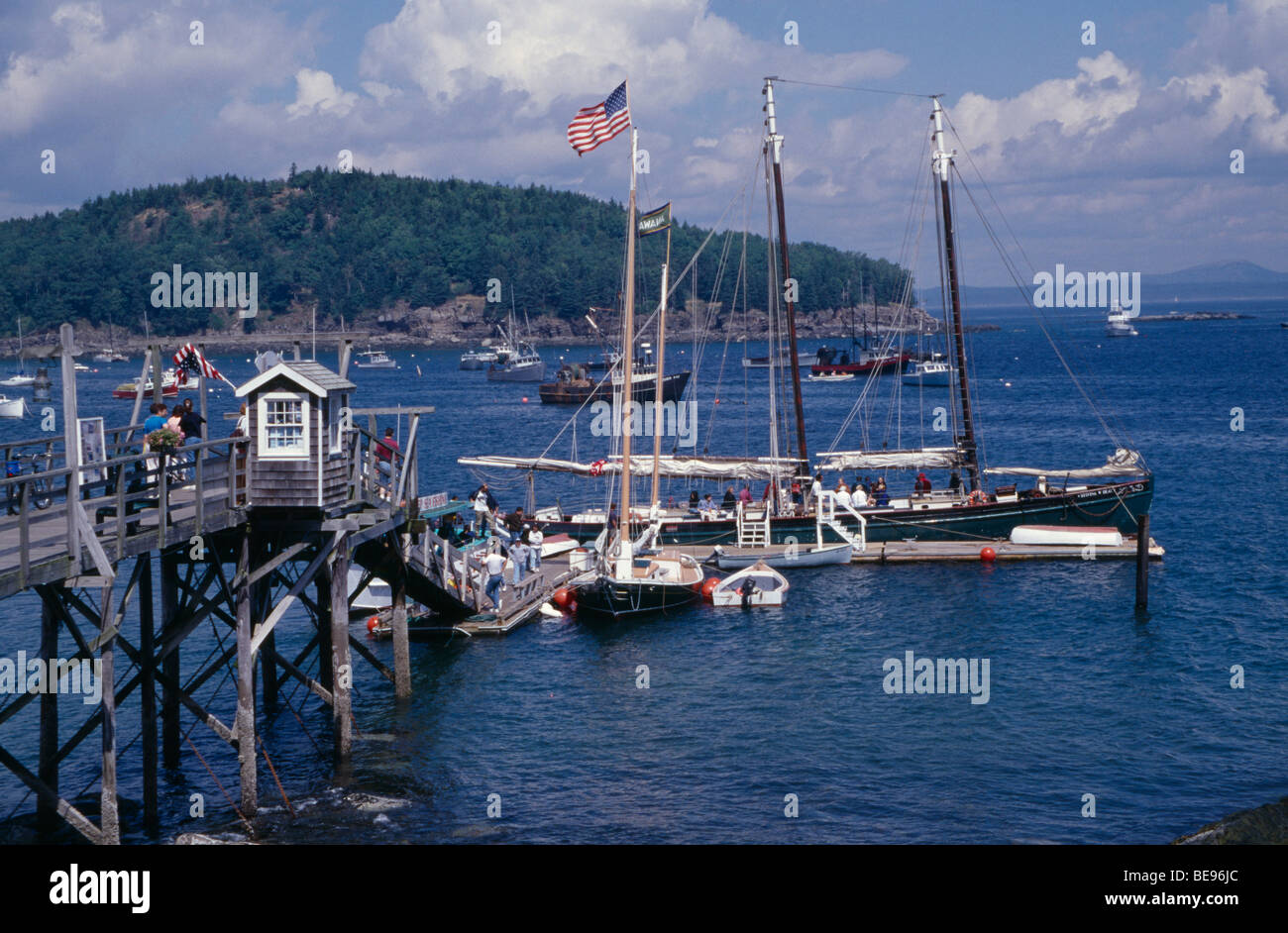 USA Maine Bar Harbor Hafen Holzsteg mit Yacht ankern seitlich, verschiedene Boote auf Wasser und Bäumen bedeckten Landzunge über Stockfoto