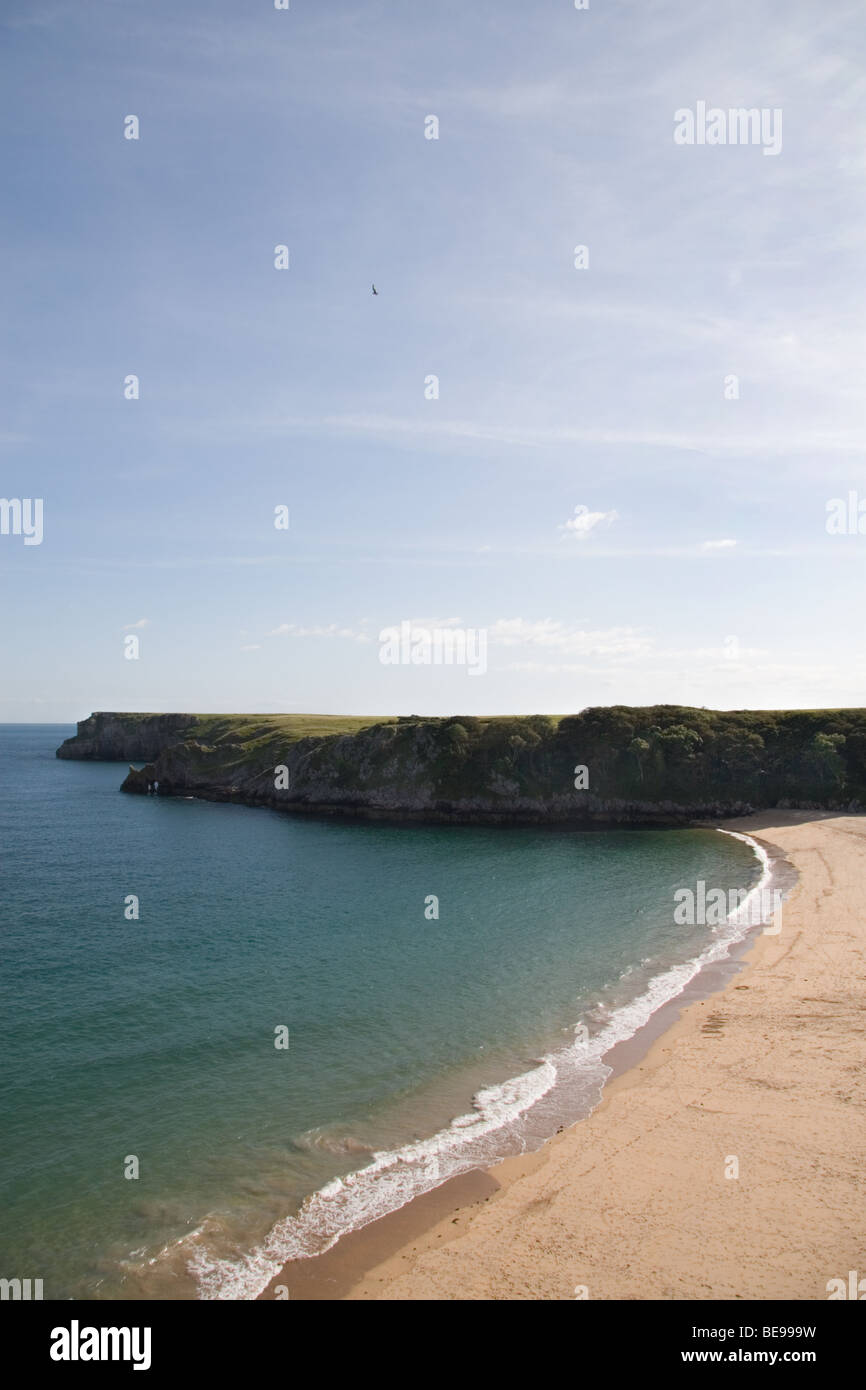 Barafundle Bay, Pembroke Küste; Südwales; UK Stockfoto