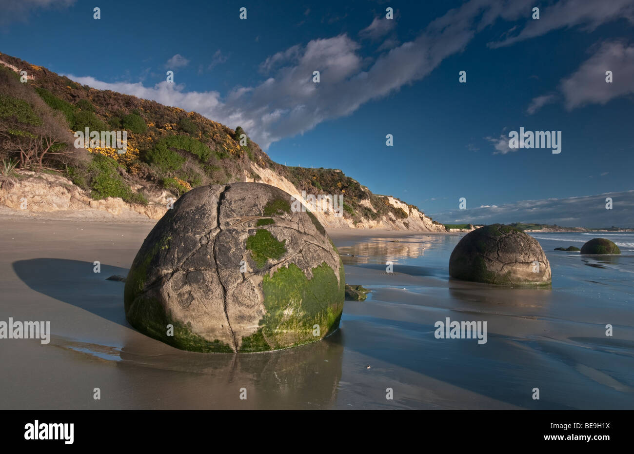 Die Moeraki Boulders, Koekohe Strand, Südinsel, Neuseeland Stockfoto