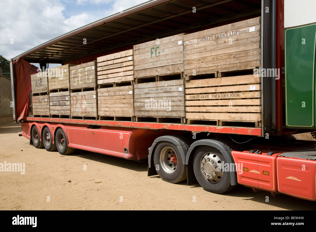 Kartoffeln in Kisten auf Lastwagen Shottisham Suffolk England geladen Stockfoto